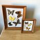 Lot de deux cadres papillons vintage