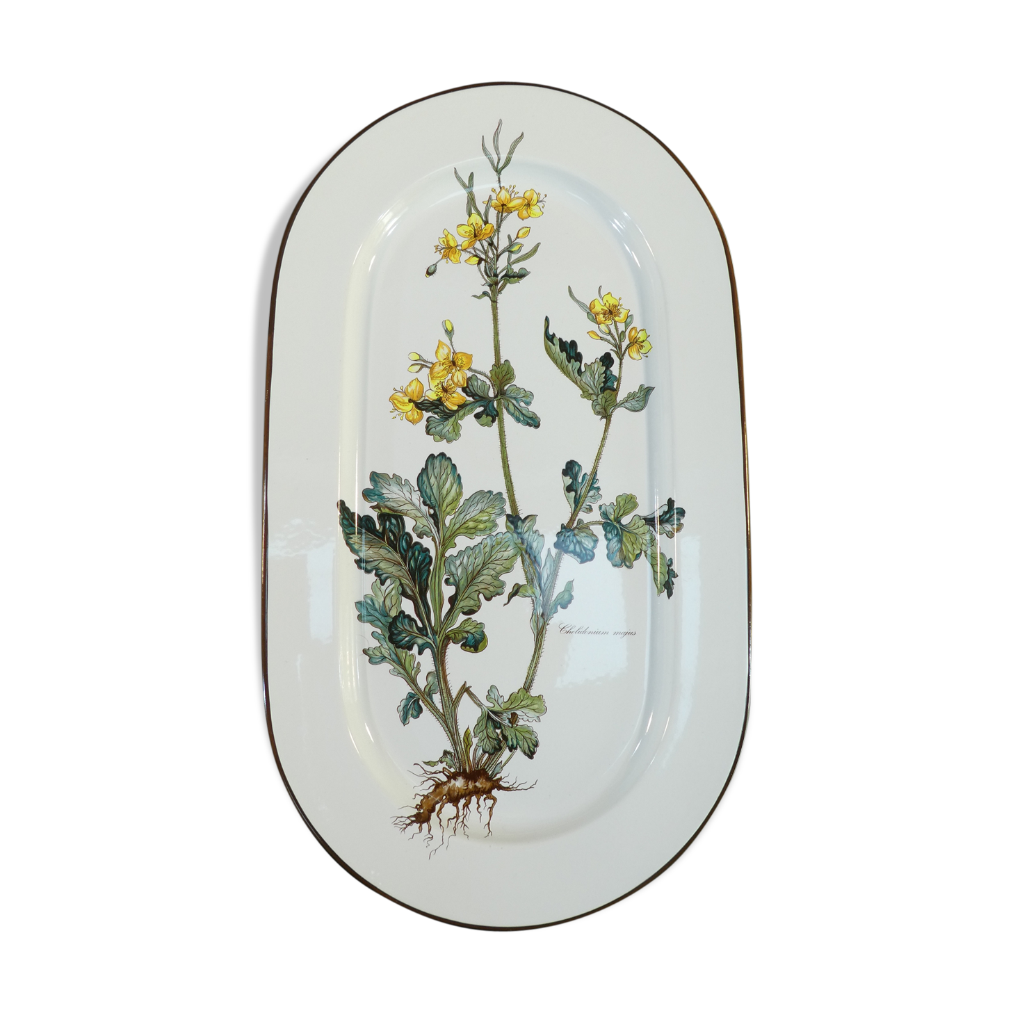 Large oval dish VILLEROY and BOCH model Botanica