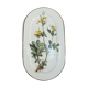 Large oval dish VILLEROY and BOCH model Botanica