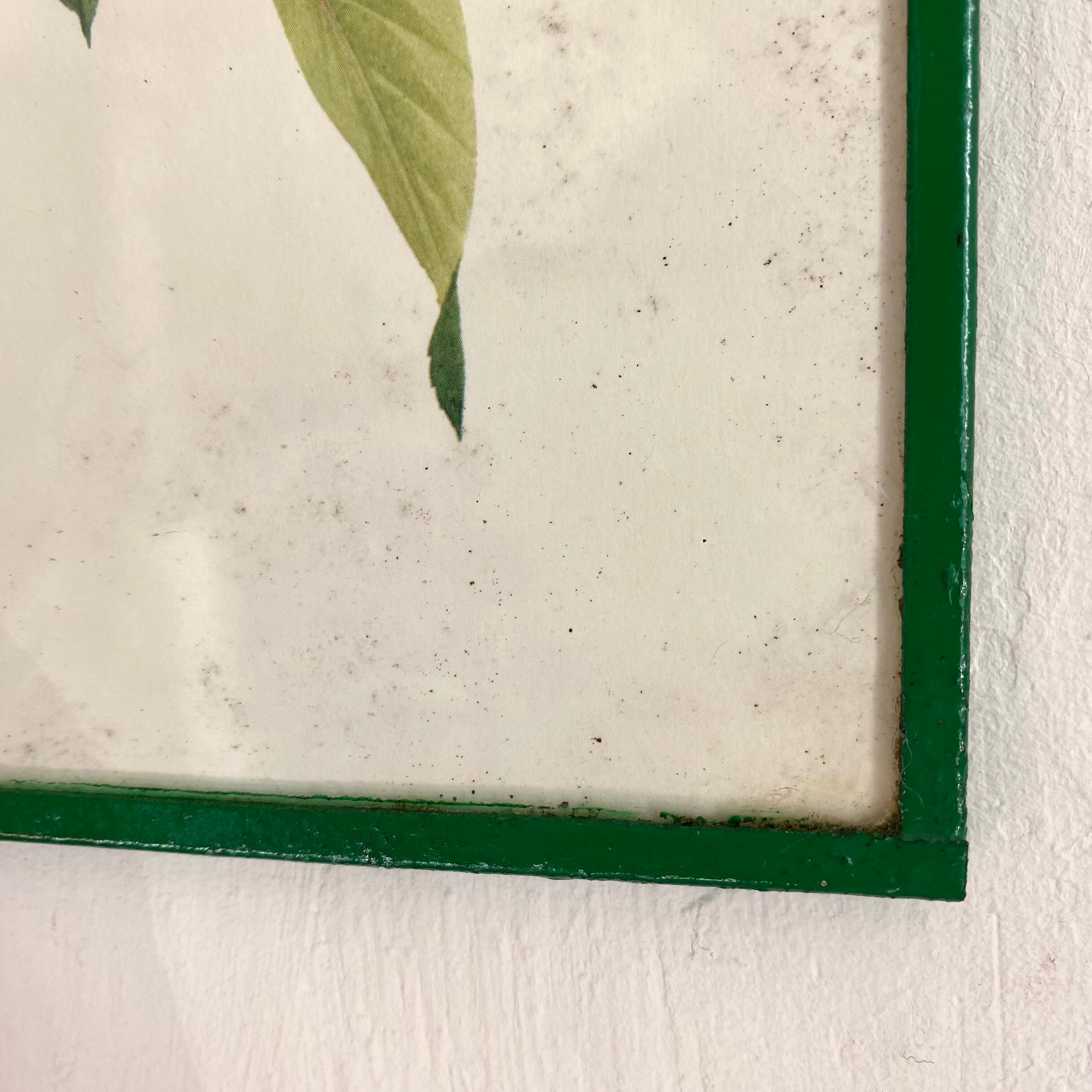 Antique engraving bird in metal frame