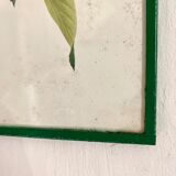 Antique engraving bird in metal frame