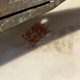 Hand-painted porcelain plate Asia