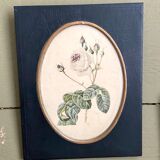 Set of three frames medallions