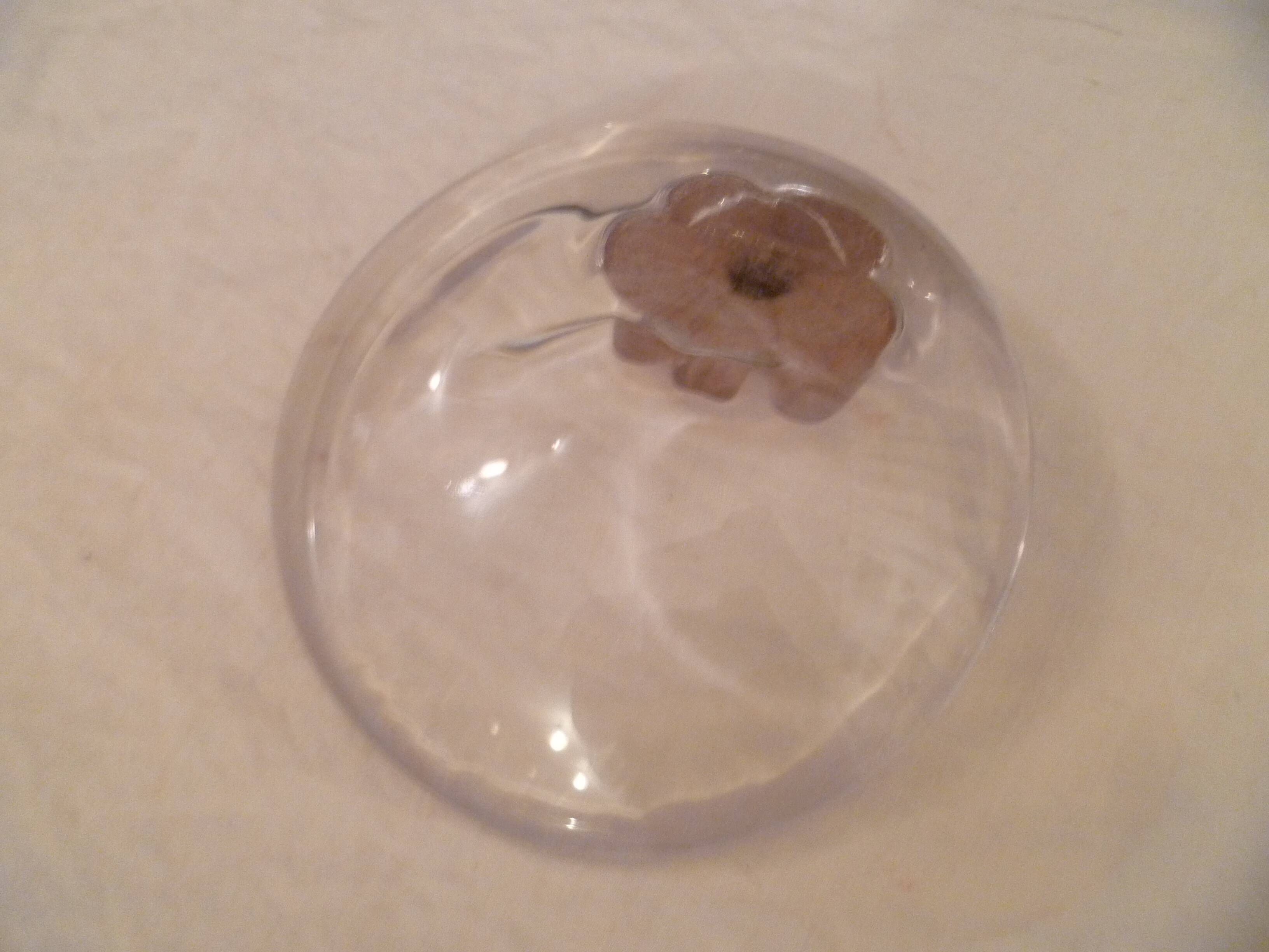 Daum france glass ashtray/pouch in glass paste signed "anemone" decor 70's