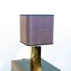 POLISHED/FROSTED BRONZE LAMP MICHEL MANGEMATIN FRANCE 1960
