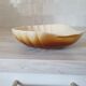 Brown and white ceramic shell bowl