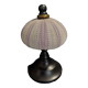 Cabinet of Curiosities sea urchin sphaerechinus granularis on base