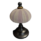 Cabinet of Curiosities sea urchin sphaerechinus granularis on base