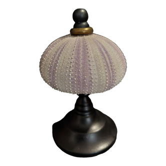 Cabinet of Curiosities sea urchin sphaerechinus granularis on base