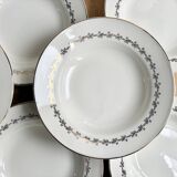 8 Digoin Sarreguemines plates