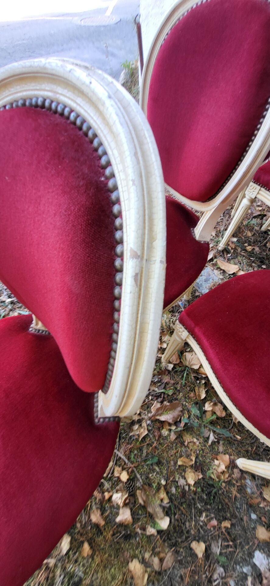 Velvet medallion chairs