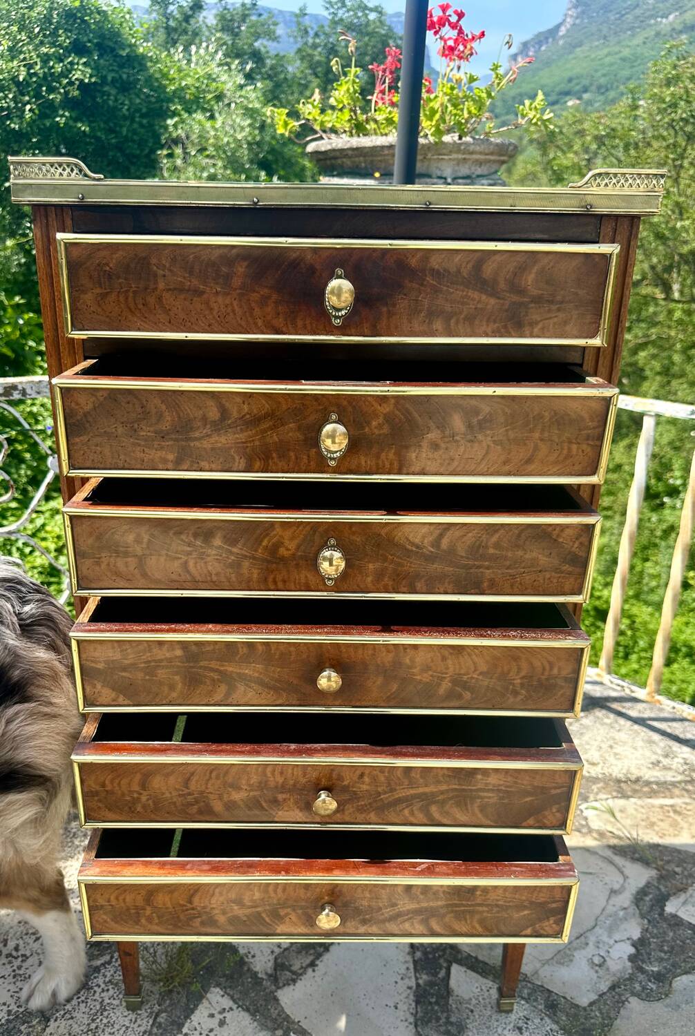 Mahogany and burl chest of drawers, 19th century