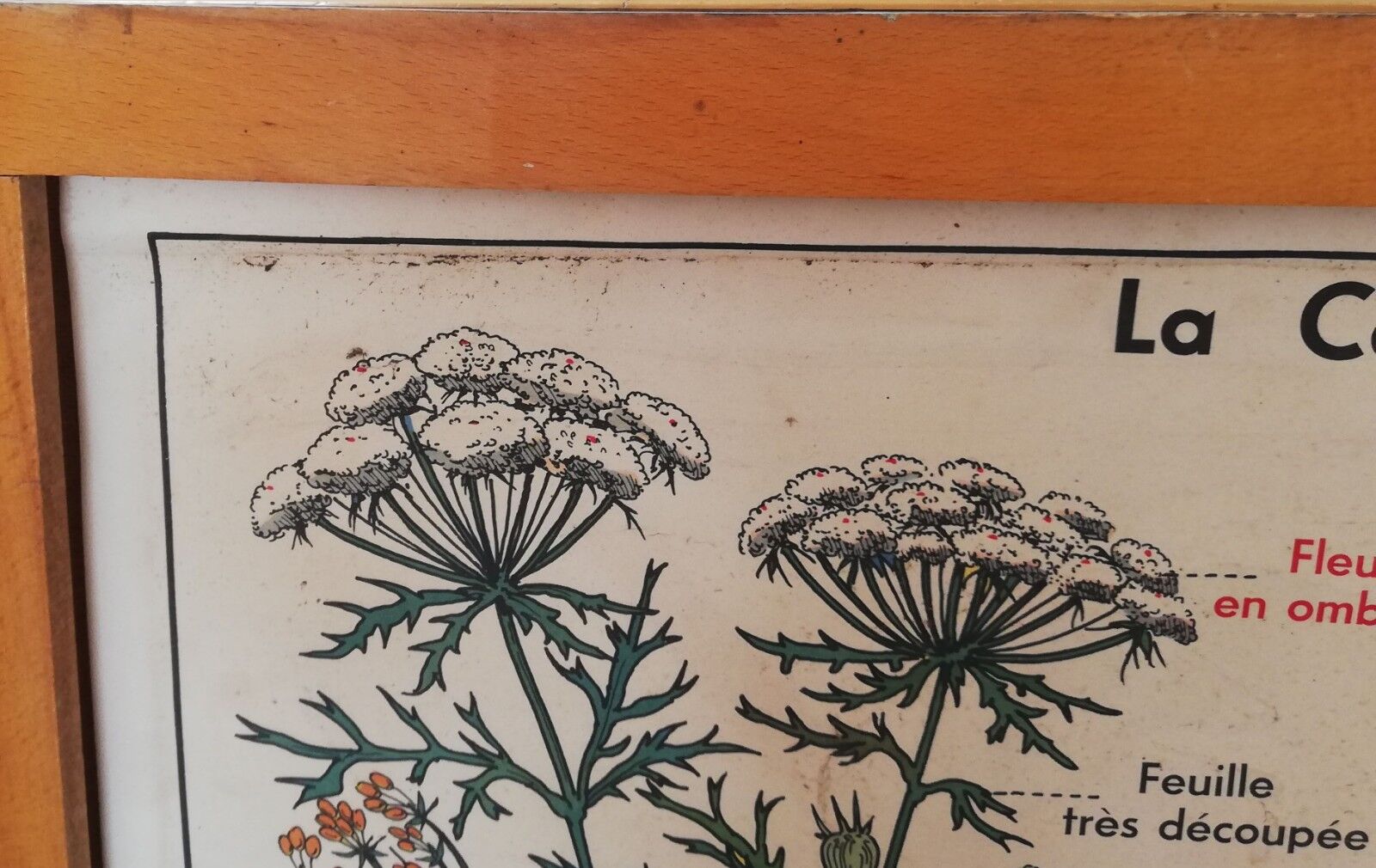 Old MDI school poster