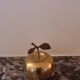 Apple in brass 1970