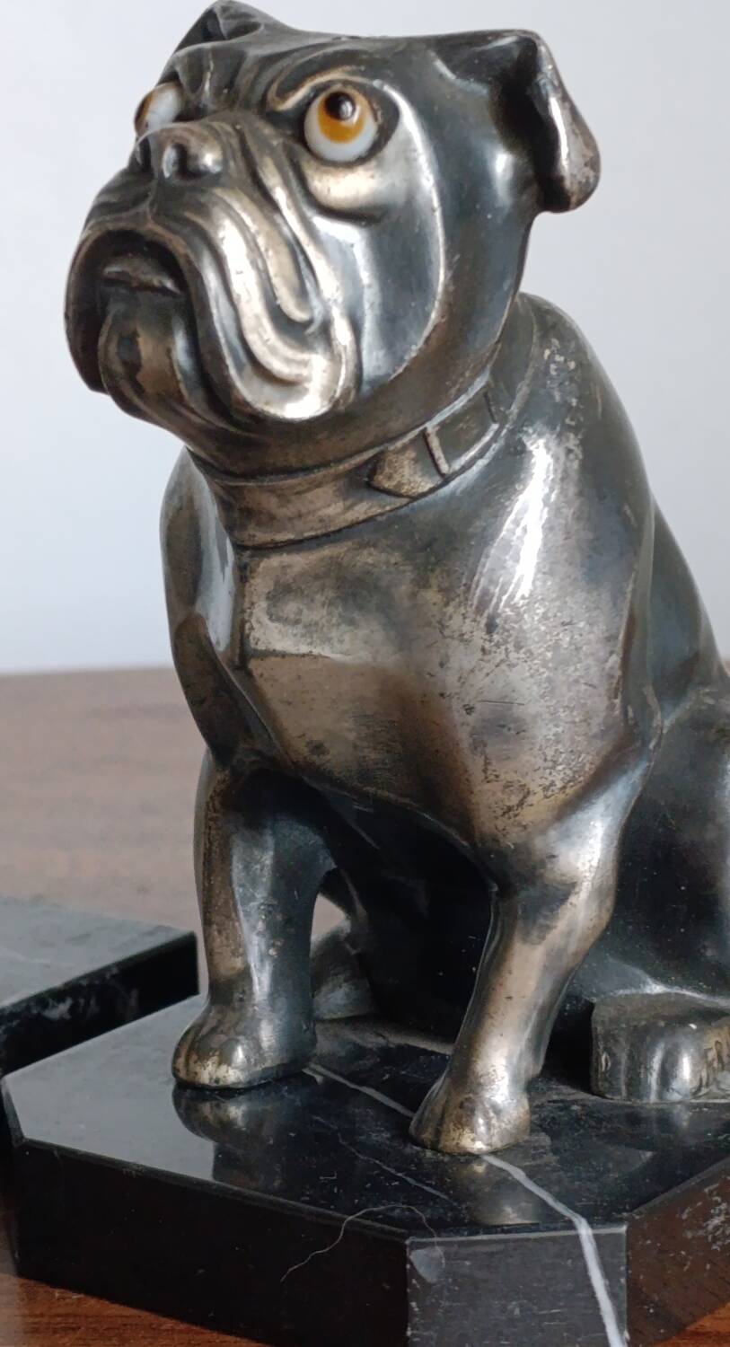Delivered bulldogs from "Franjou"