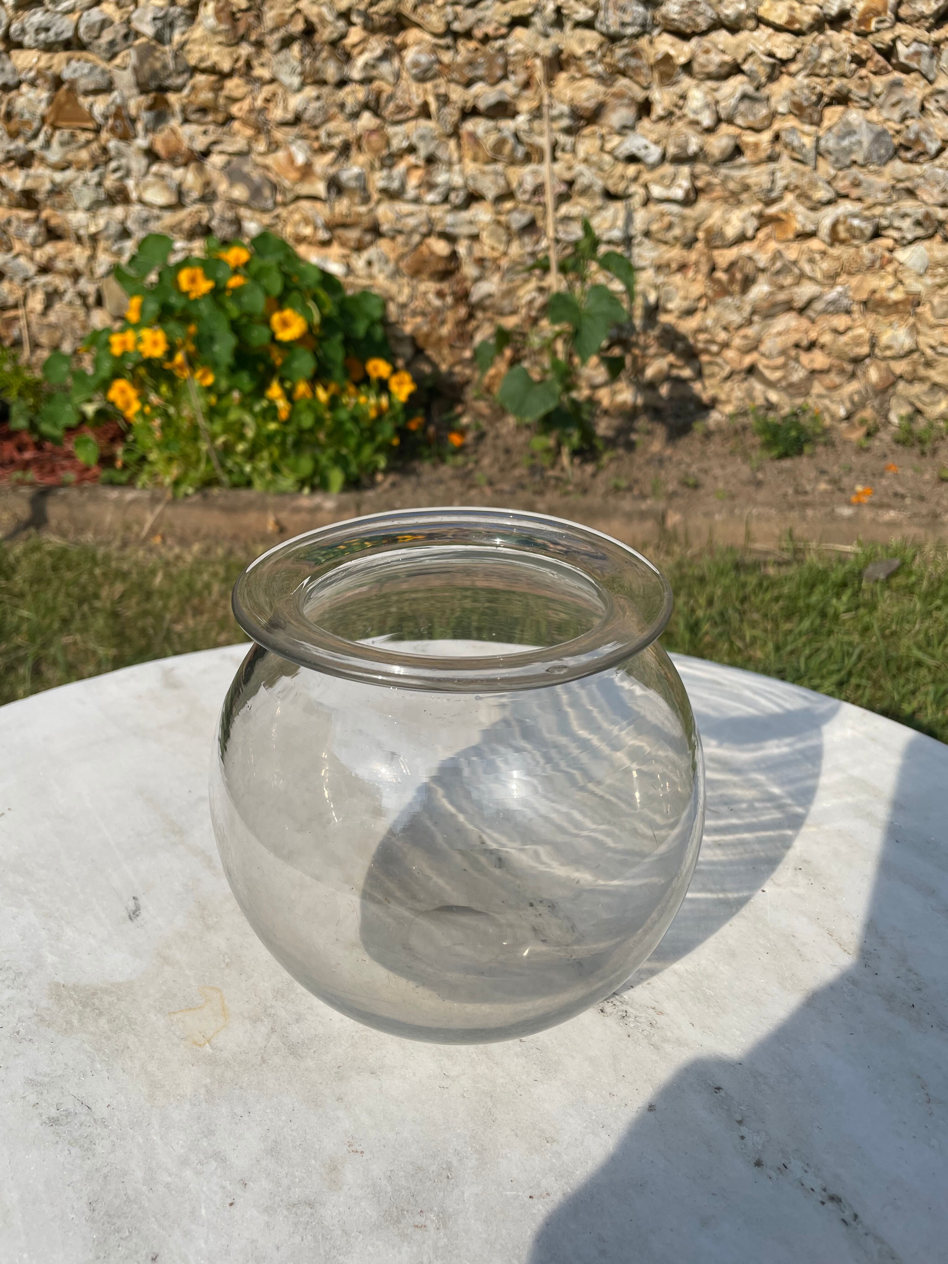 Old pharmacy leeches vase.