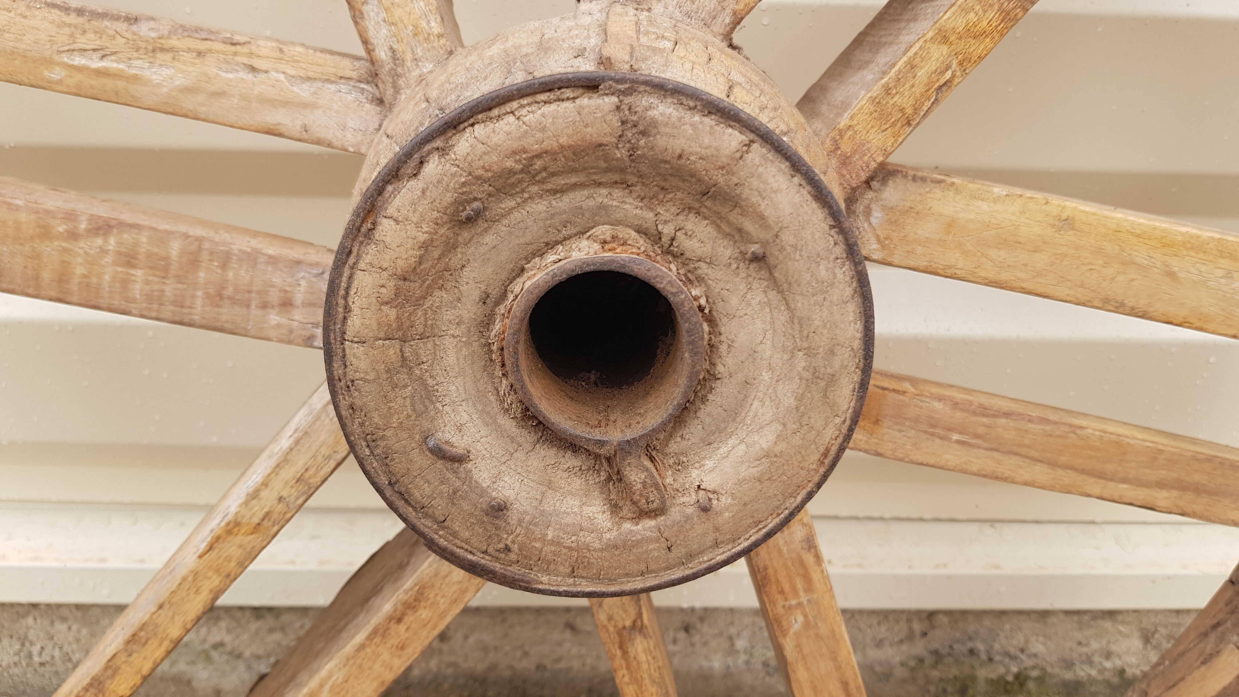Old teak plow wheel
