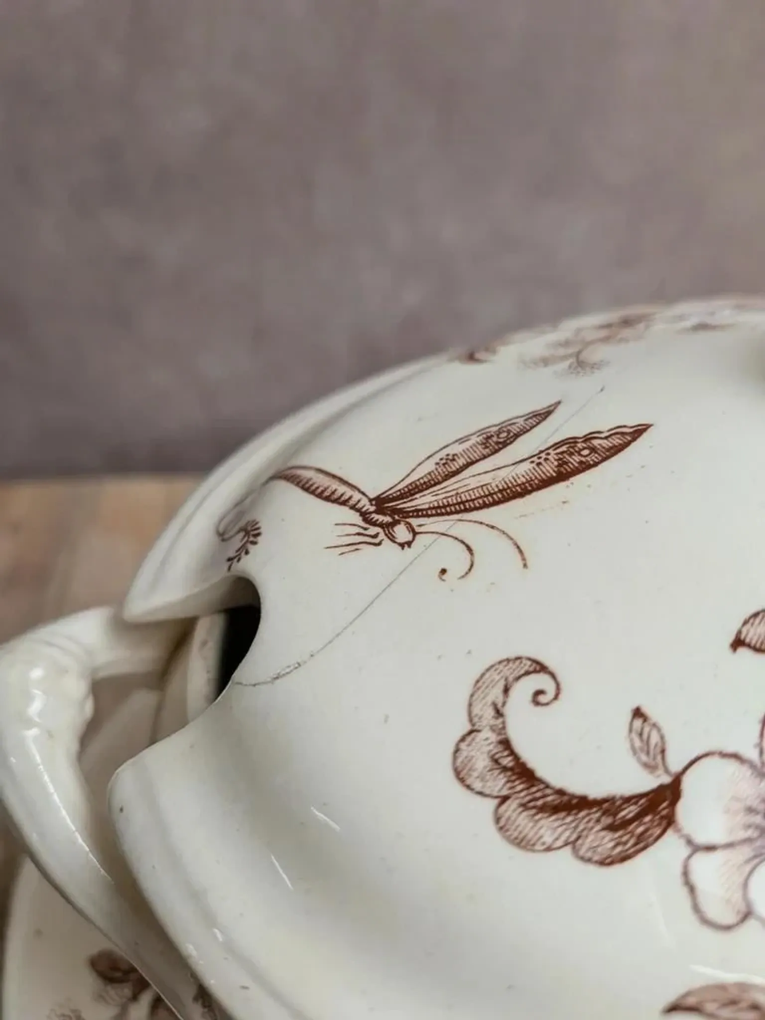 Antique sauce boat in ironstone from Salins – Sepia dragonfly decoration – With lid