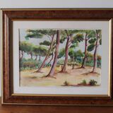 Watercolor painting Landscape pine forest and bicycles