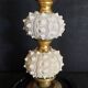 Cabinet de Curiosités globe avec oursins phyllacanthus imperialis