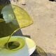 Martinelli Luce lamp from the 1960s Floglia 643