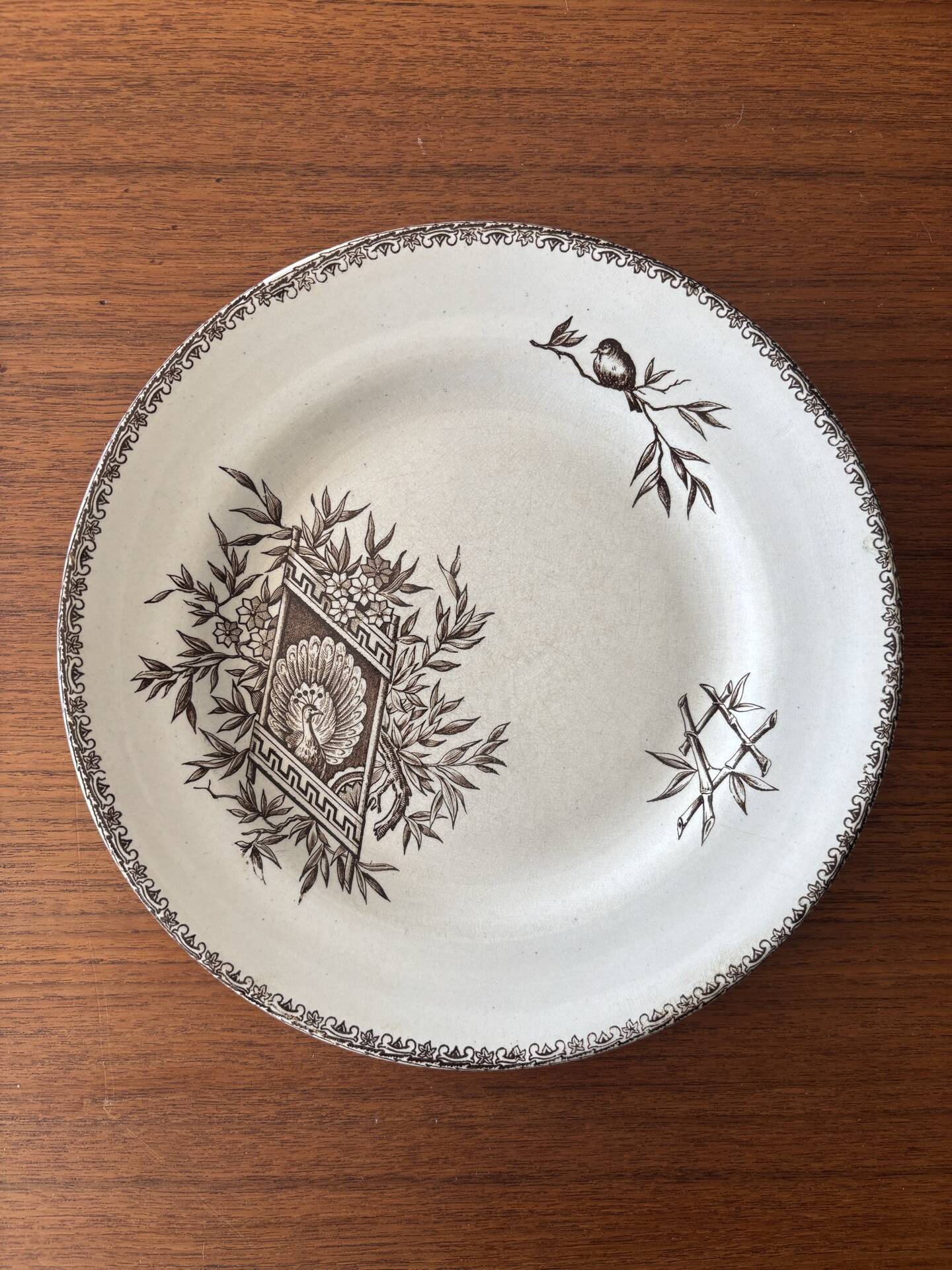 6 ironstone sepia plates | Grand Depot of Porcelains & Earthenware