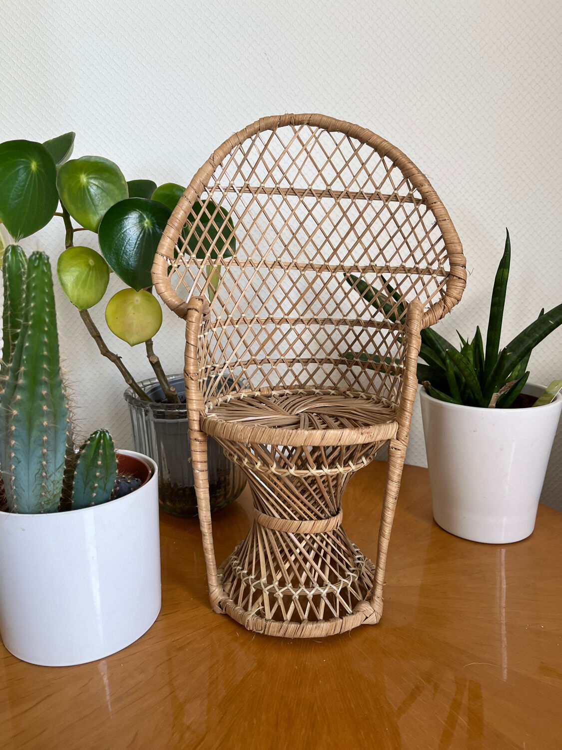 Emmanuelle vintage rattan plant holder