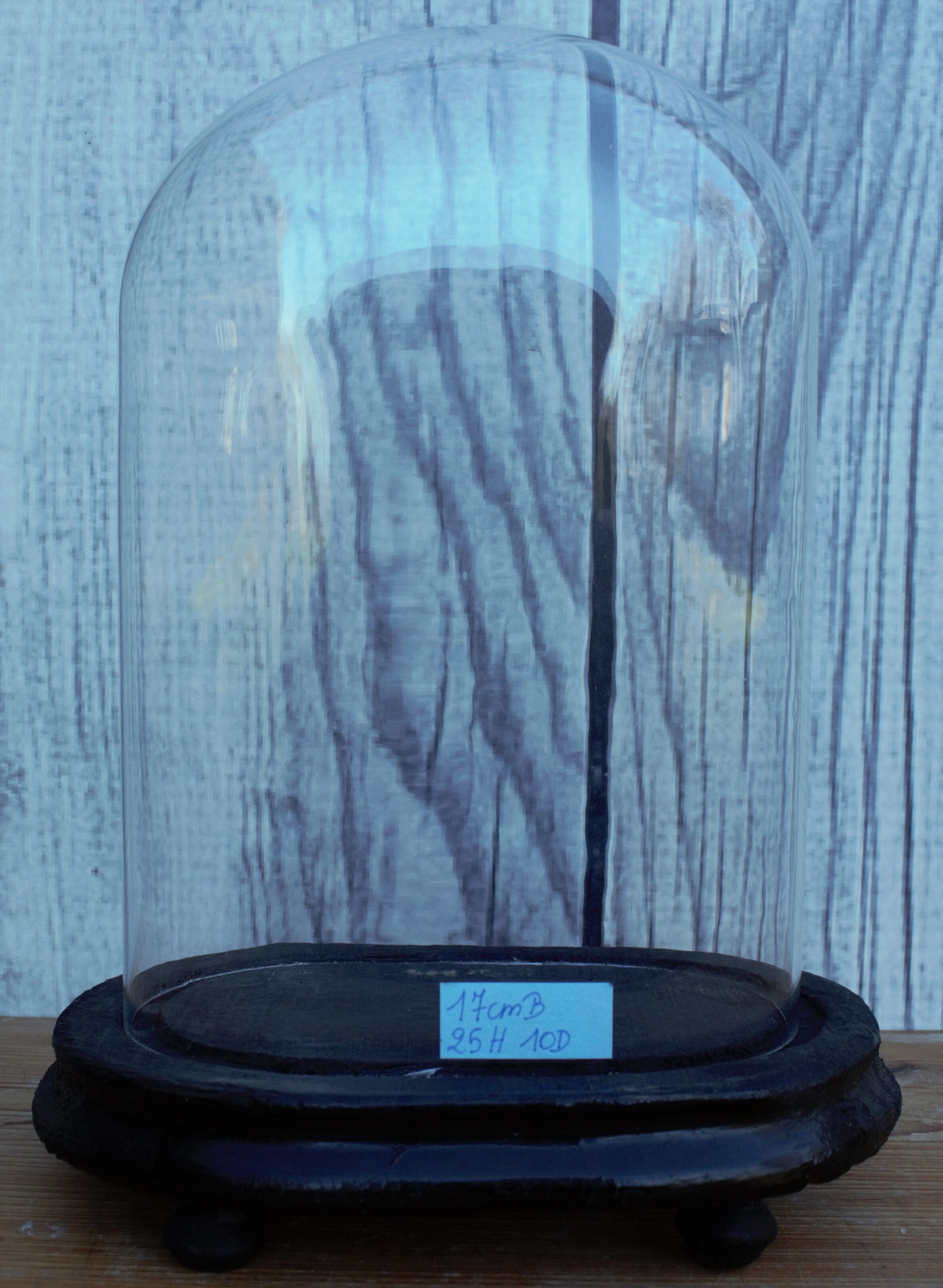 Antique wedding globe in oval glass 27 cm high