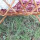Vintage rattan baby cot
