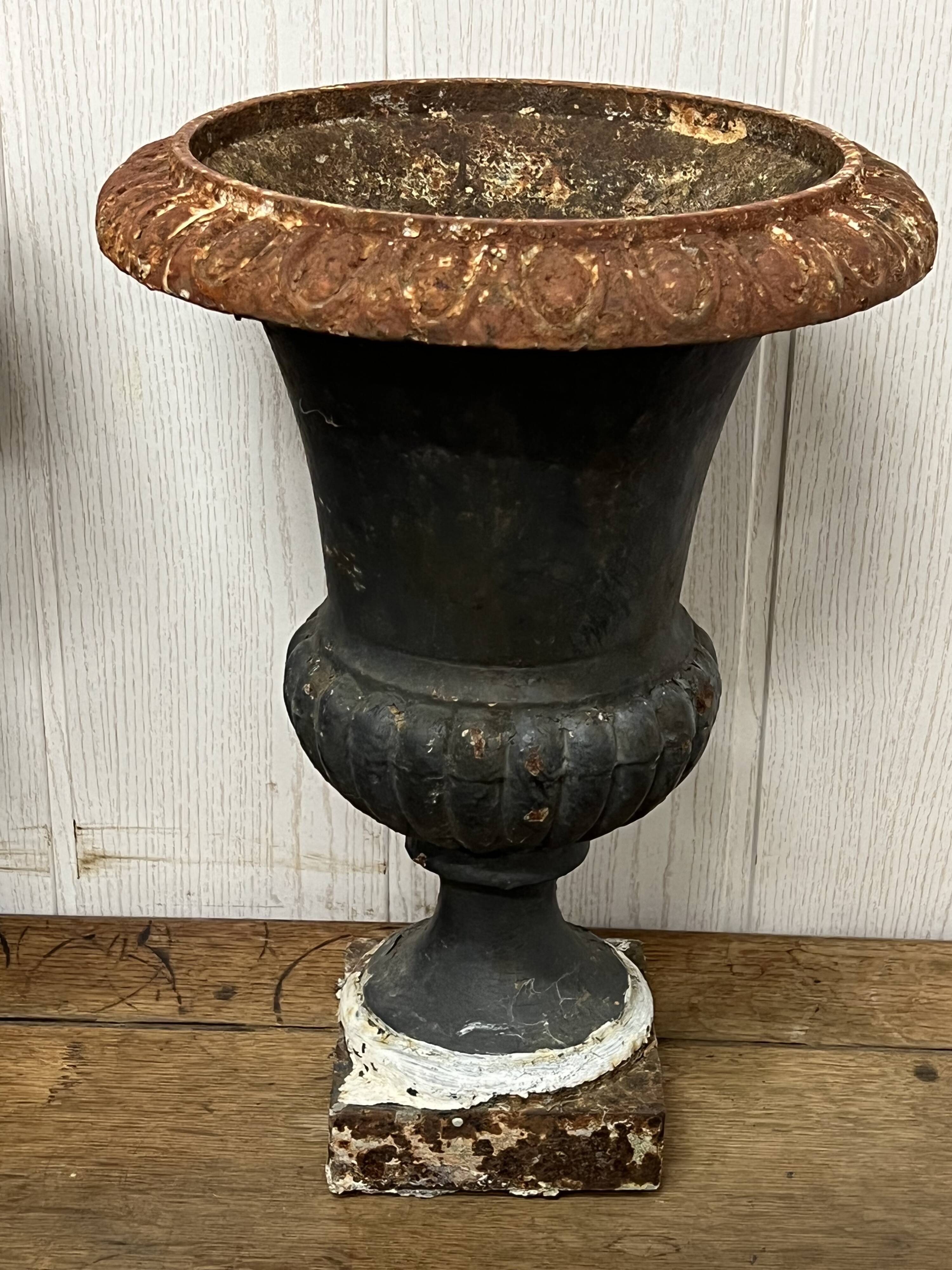 Pair of Medici vases