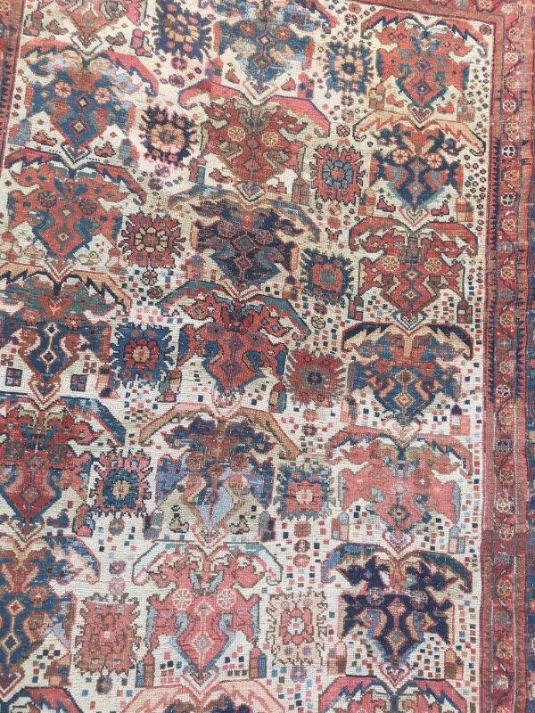 Former carpet Persian Afshar 19th century 150x232cm