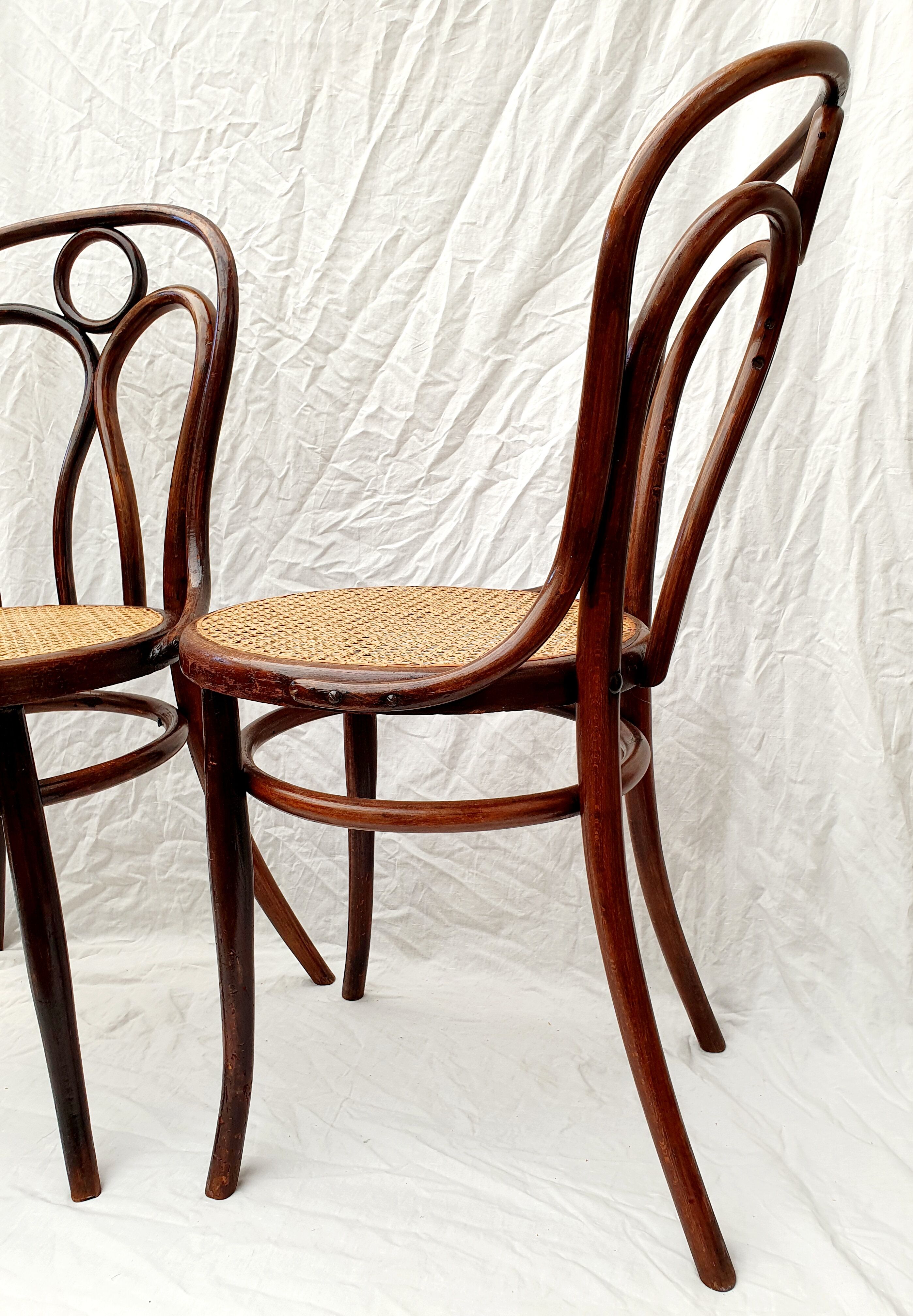 Paire de chaises cannées J&J Kohn  n°36