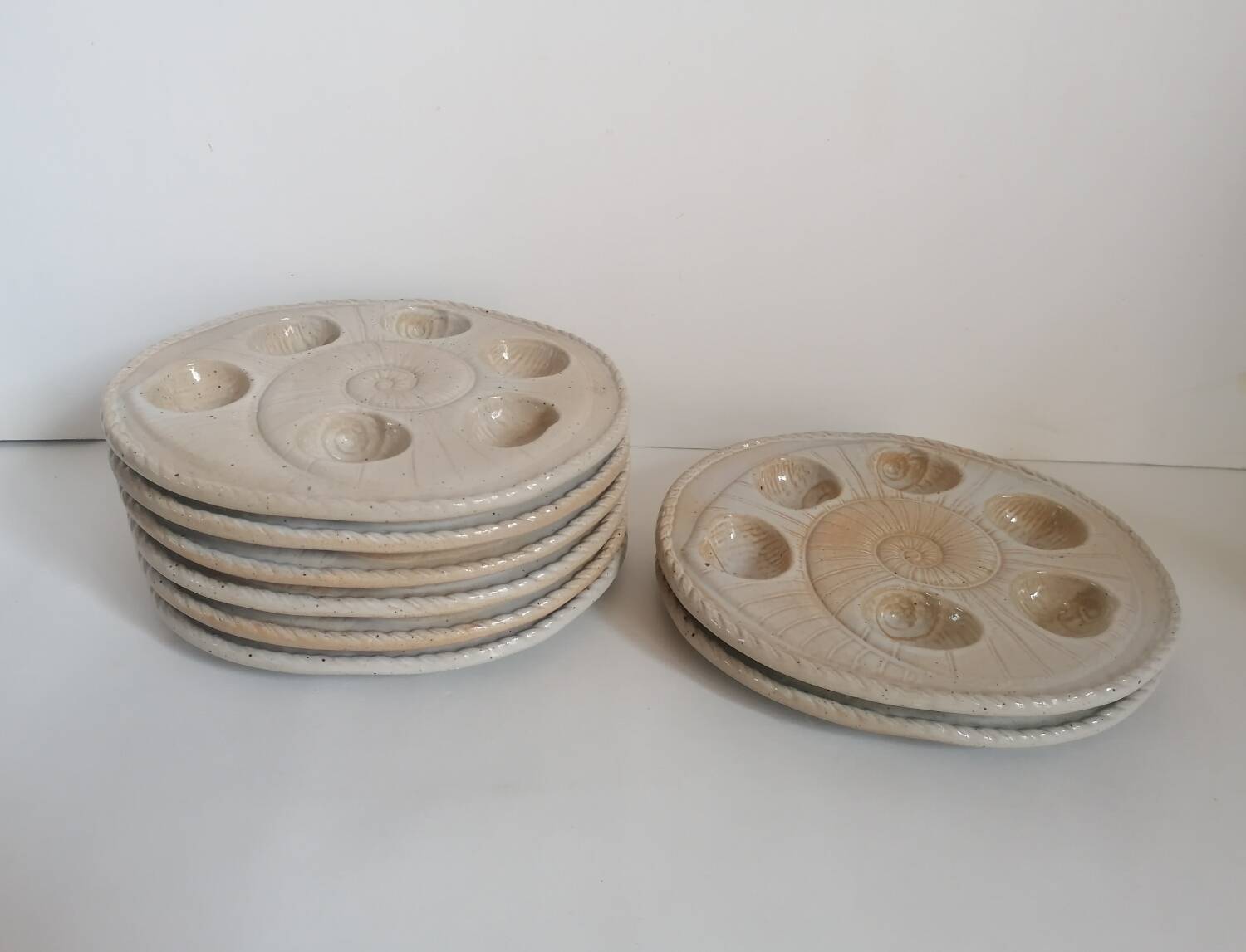 8 snail plates sandstone from the marsh France