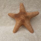 Starfish