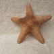Starfish
