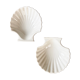 Scallop shell bowls