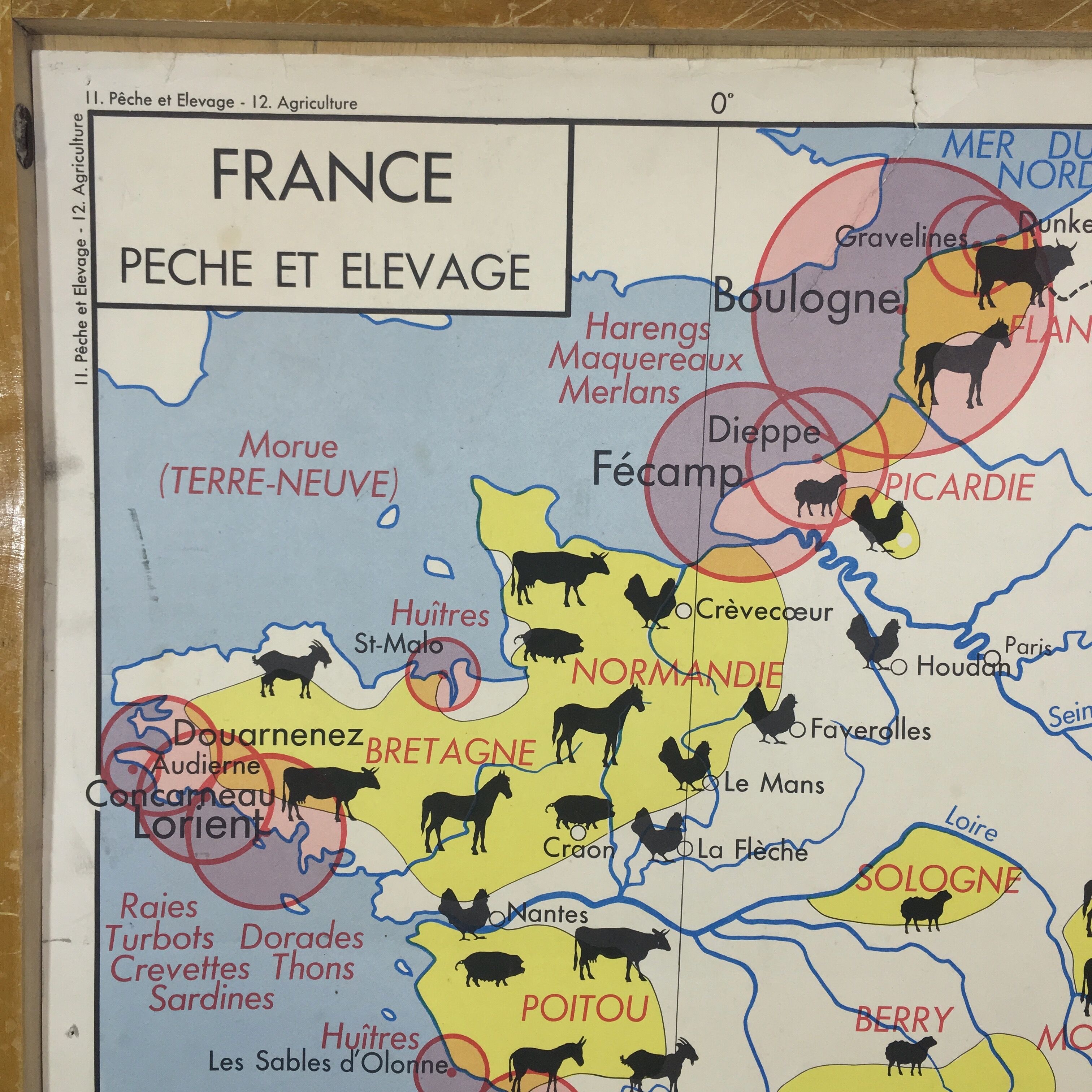 School poster double sided France