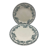 Set of plates Terre de fer