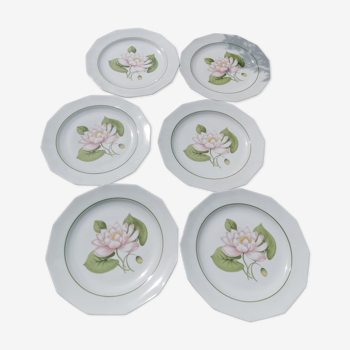 6 plates, Chaumette Paris model water lily.