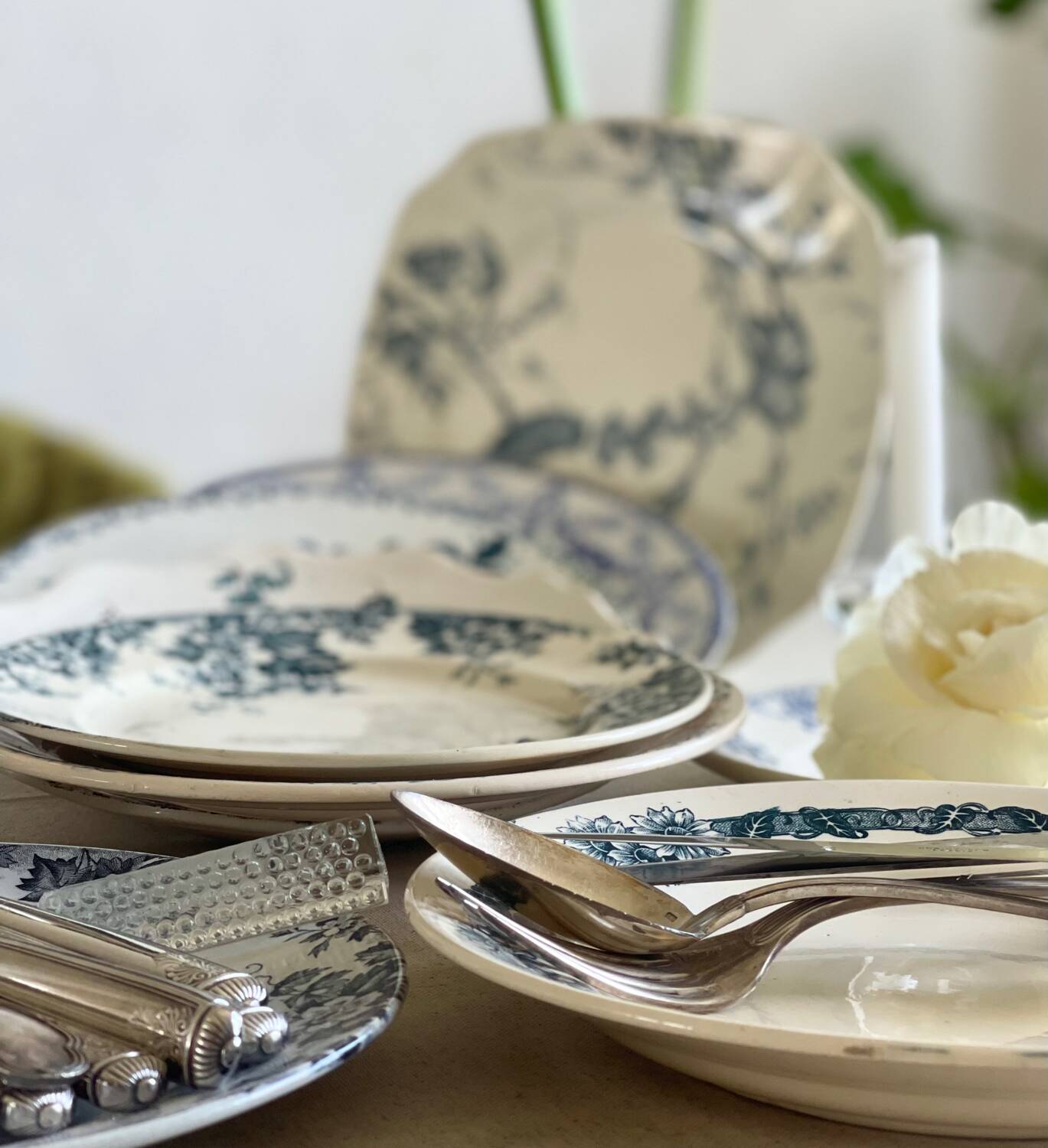9 mismatched blue ironstone plates