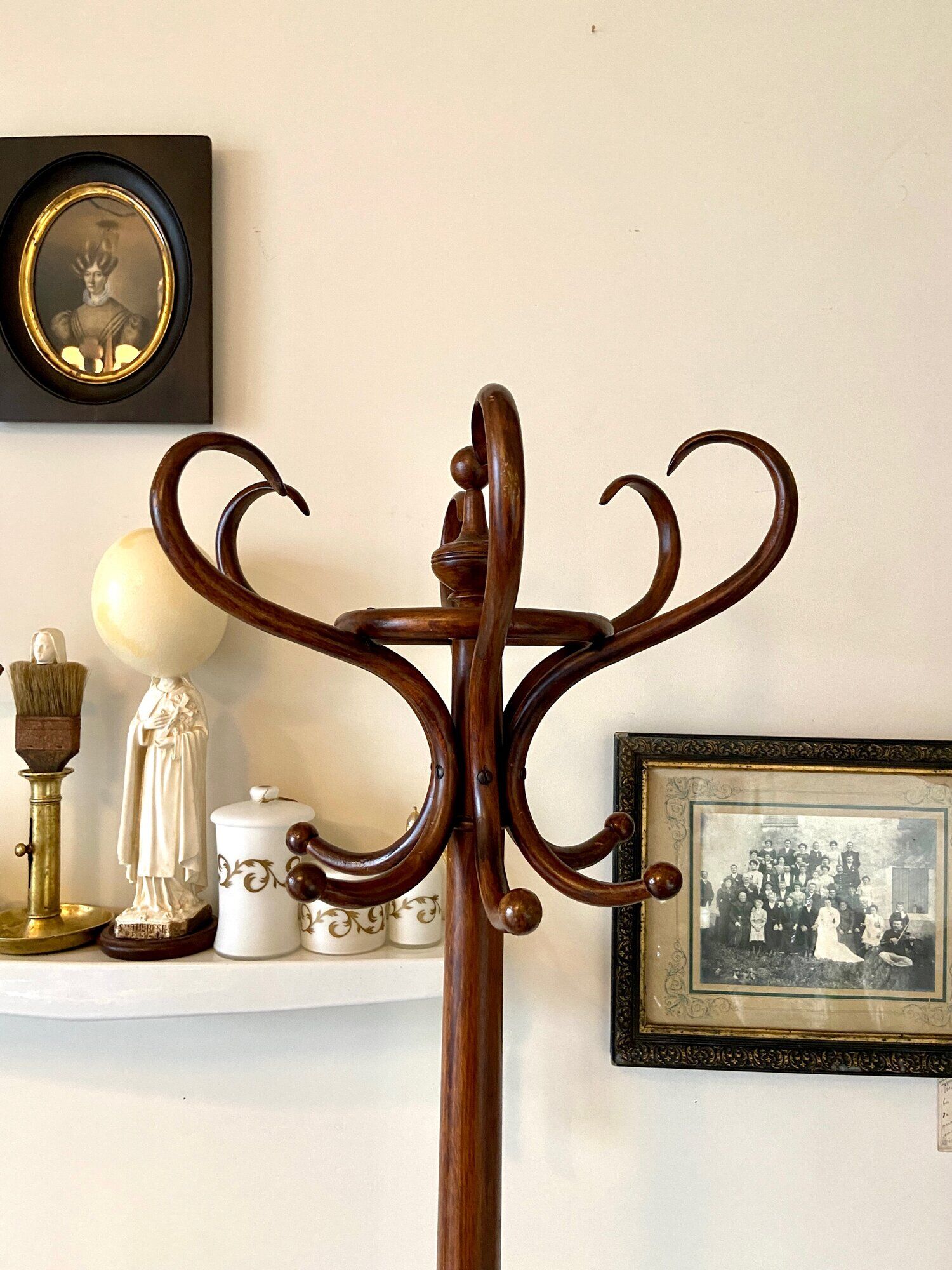 Parrot and dark arched beech coat rack