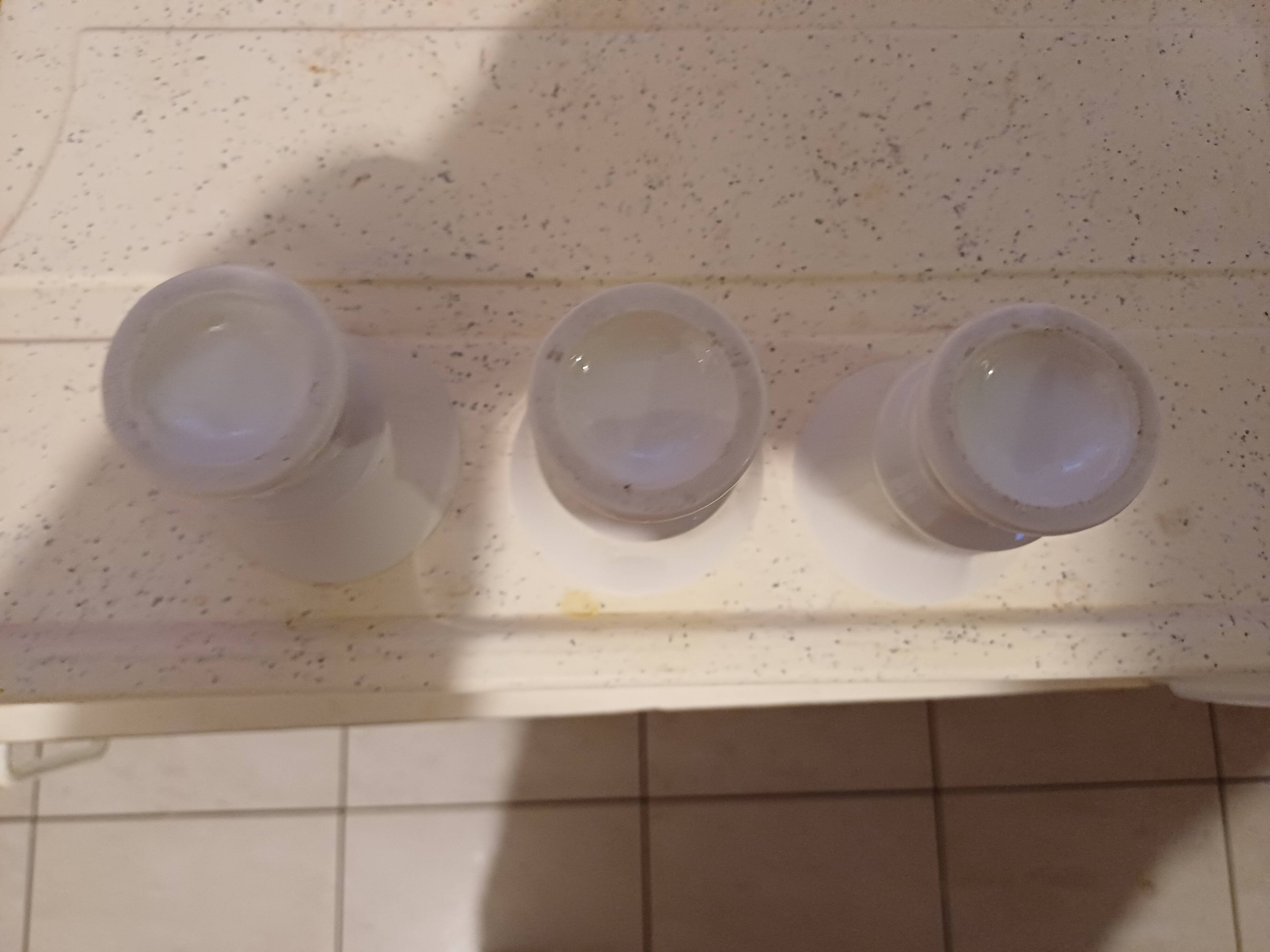 3 Brulots Porcelain Cups 19th