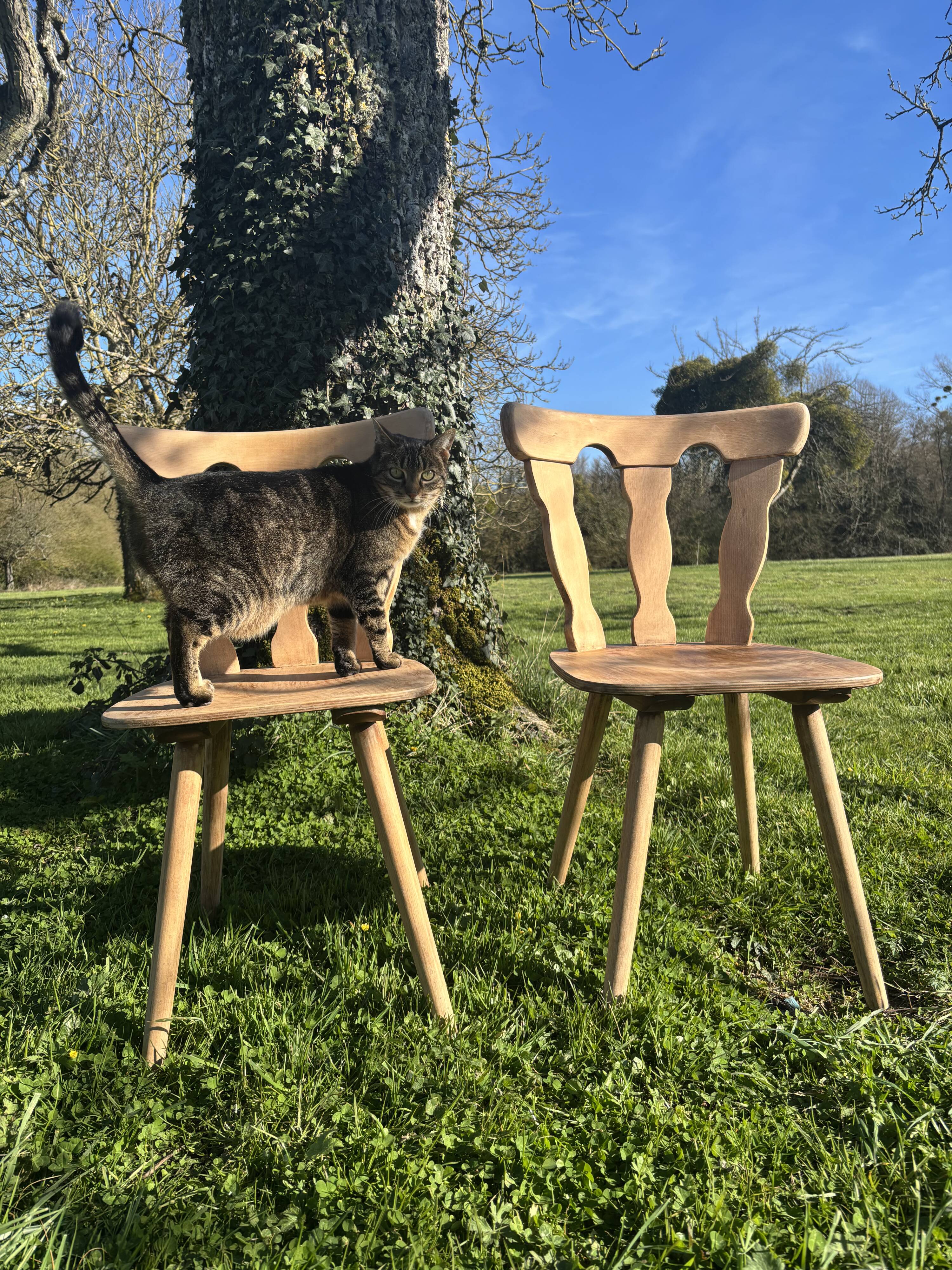 2 old bistro chairs