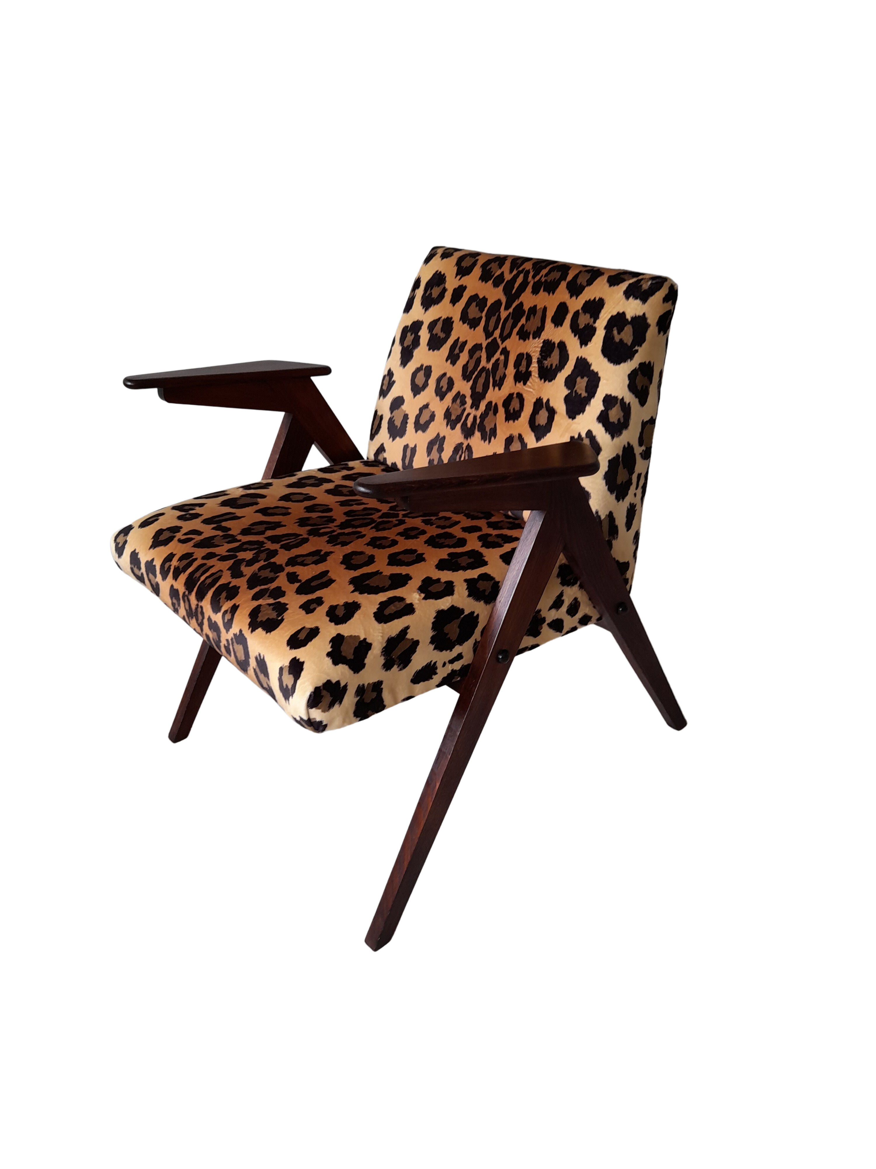 Leopard print velvet bunny armchair from dolnośląskie fabryki mebli, 1960