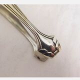 Silver metal sugar clamp in its case