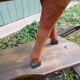 Antique rocking horse