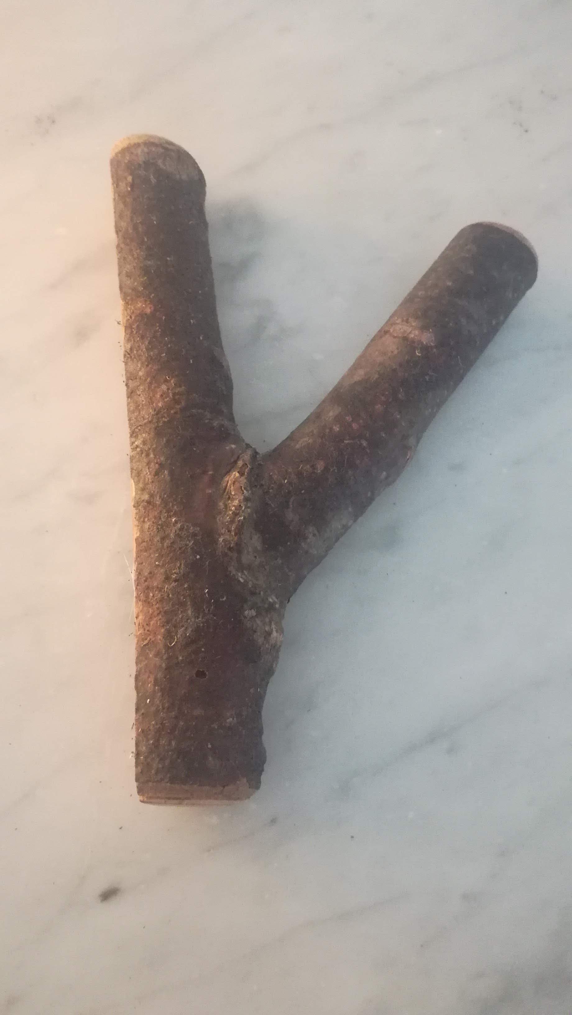 6 Hooks in walnut and apricot branches