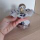 Murano Fleur de Murano wall light