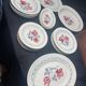 Assiettes « Cannes » Sarreguemines Diguoin.
