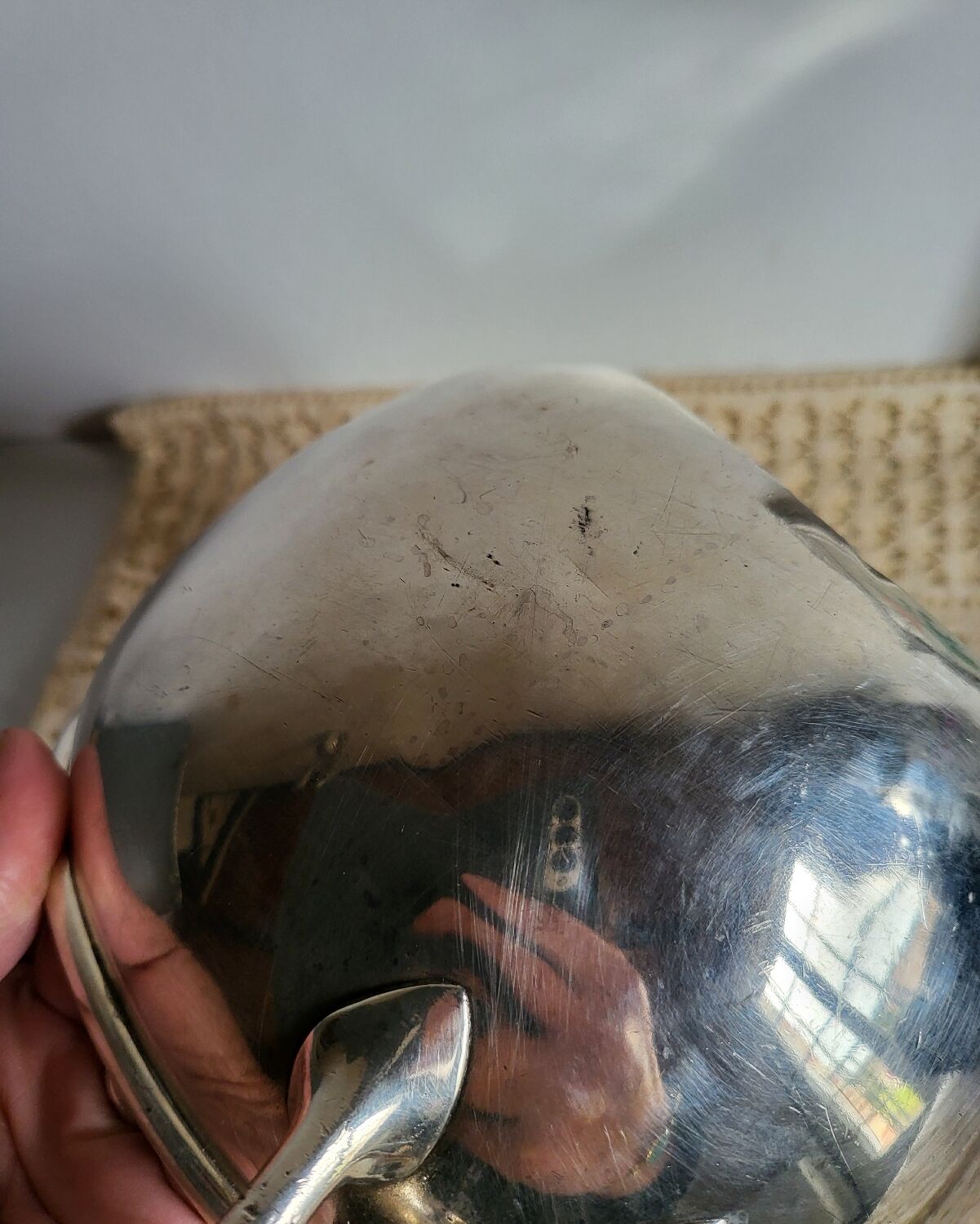 Silver-plated metal planter pot